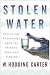 Stolen Water: Saving the Everglades from Its Friends, Foes, and Florida