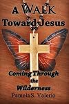 A Walk Toward Jesus: Coming Through the Wilderness (Volume 1)