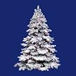 9' Pre-Lit Flocked Alaskan Artificial Christmas Tree - G50 & Multi Lights