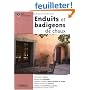 Enduits et badigeons de chaux