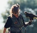 An Eagle Handling Day