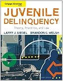 Juvenile delinquency : theory, practice, and law