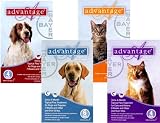 Advantage - For Dogs And Puppies 21-55 Lb