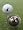 Tin Cup Nine Lives Golf Ball Custom Marker Alignment Tool 9 Lives