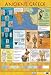Ancient Greece - Educational Poster (40x60cm)