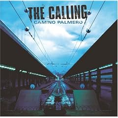 Camino Palmero