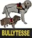 BULLYTESSE 2xLogos klein gelb f�r Julius K9 / Logo Klettlogo Austauschlogo K-9 Powergeschirr + IDC (IDC Baby1 + IDC/Power Baby2/MiniMini/Mini/