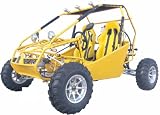 250cc Go Kart 2 Seat