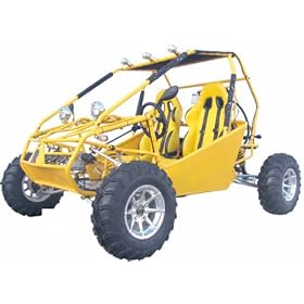 250cc Go Kart 2 Seat by