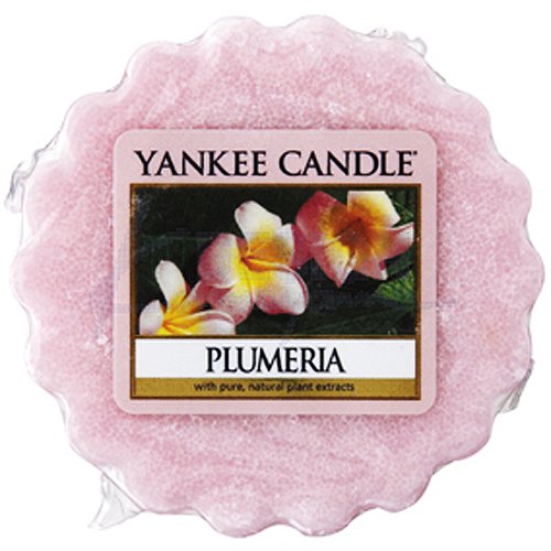 YANKEE CANDLE タルトワックスポプリ プルメリア-PLUMERIA- 4901435904962