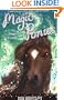 Pony Camp. Sue Bentley (Magic Ponies)