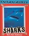 Sharks (Endangered!)