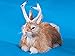 StealStreet R1802T Jackalope Small Lying Tan Handmade Animal Figurine