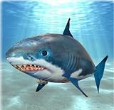 air swimmer shark
