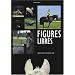 Figures libres : Exercices pour les chevaux de loisir