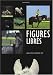Figures libres : Exercices pour les chevaux de loisir
