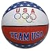 Team USA 5 Rings Mini Basketball (Red/White/Blue, One Size)