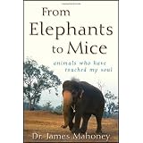 From Elephants to Mice: Animals Who Have Touched My Soul
