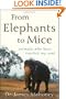 From Elephants to Mice: Animals Who Have Touched My Soul