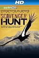 Scavenger Hunt