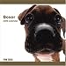   - Boxer Dog 2009 Wall 12''x12'' Calendar by THE DOG Artlist Collection