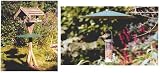 Meripac Universal Squirrel Baffle Outdoor Living