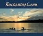 Fascinating Loons: Amazing Images & Behaviors