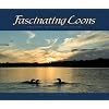 Fascinating Loons: Amazing Images & Behaviors