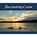 Fascinating Loons: Amazing Images & Behaviors