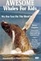 Awesome Whales For Kids DVD