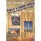 Salt Lake City: A Mormon Enclave to an American City