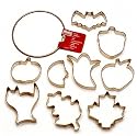 Kaiser Bakeware Patisserie Fall Cookie Cutter Rings, Set of 9