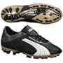 Puma Men's Veneno GCI FG