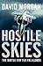 Hostile Skies