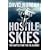 Hostile Skies