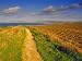 Cap De Gris-Nez, Pas-De-Calais, Nord-Picardie (Picardy), France, Europe Art Photograp...
