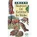 S�ugetiere und Kaltbl�ter des Waldes: Taschenbildbuch mit Schnellfinderegister