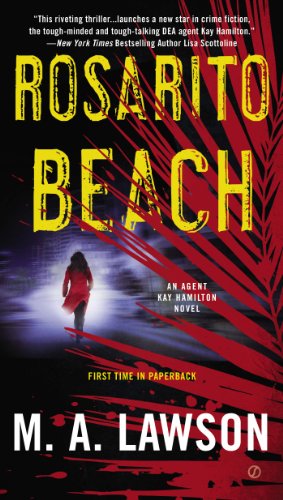 rosarito beach a kay hamilton novel