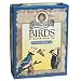 Zoology for Kids Toys