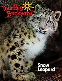 Sports Illustrated Kids (1-year)