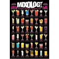 1art1 49075 Cocktails - Mixology Poster (91 x 61 cm)