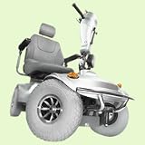 Golden Tech Avenger Four Wheel Scooter