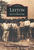 Review NPI Media Group  / Leyton and Leytonstone