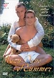 HAZY DAYS OF SUMMER (DVD MOVIE)
