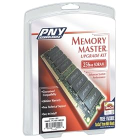 PNY 256MB DIMM PC133 SDRAM Memory