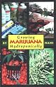 Growing Marijuana Hydroponically