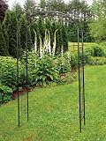 Arbor: Wrought Iron Monet