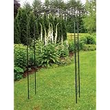 Arbor: Wrought Iron Monet
