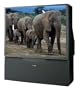 Toshiba 61H70 61-Inch HDTV-Ready Projection TV