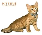 Kittens 2006 Calendar